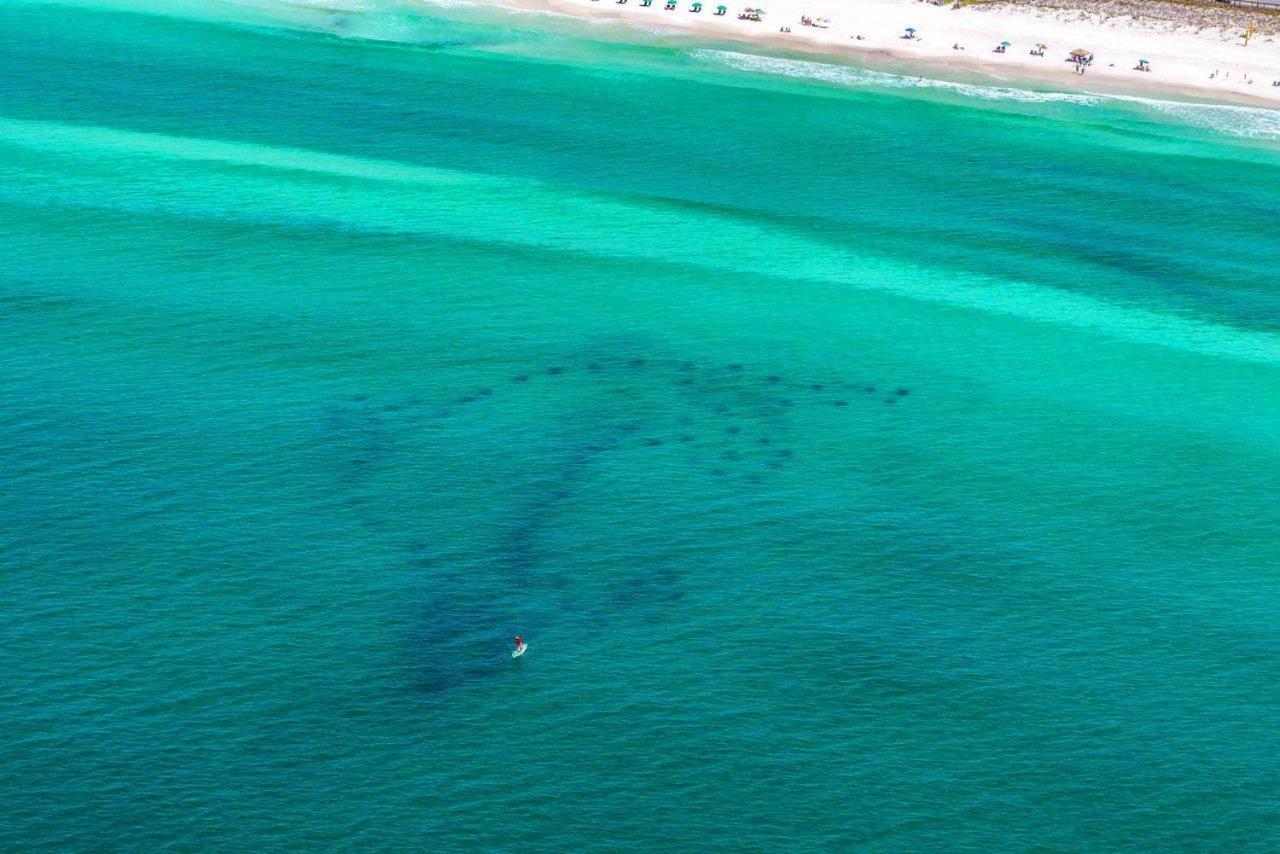 Caribbean Dunes 120 Destin Eksteriør bilde